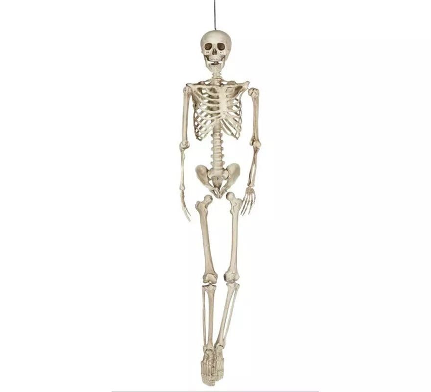 Colgante Esqueleto 160 Cm
