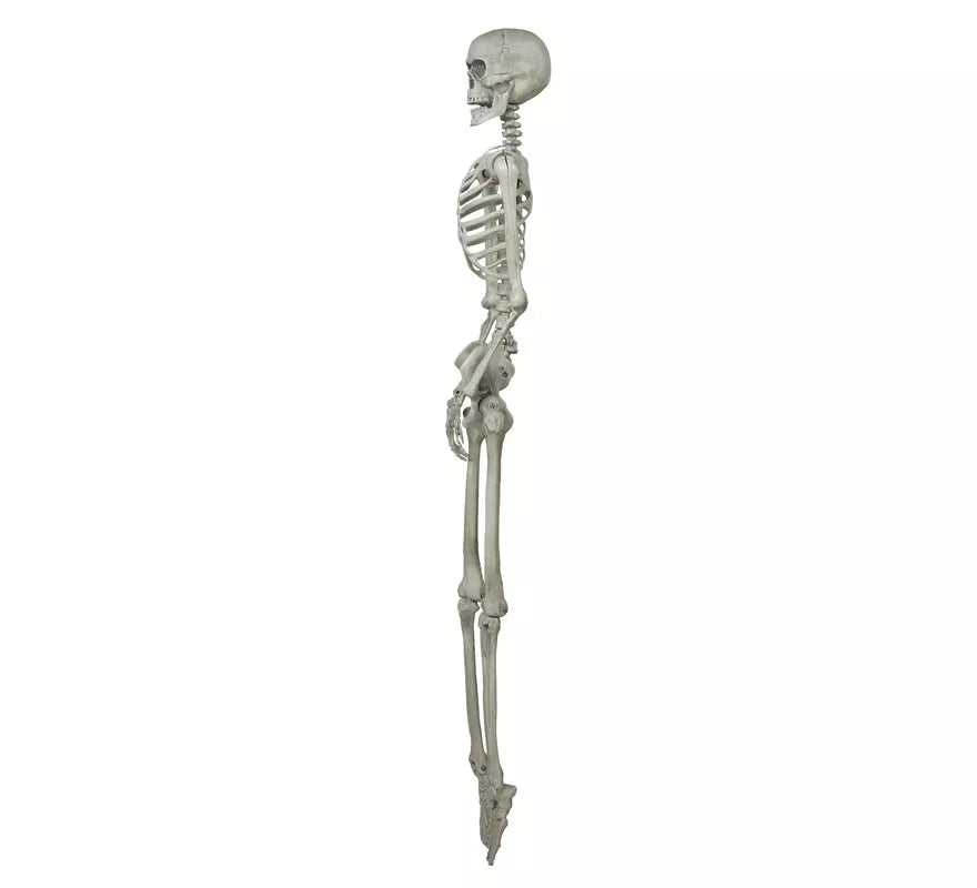 Colgante Esqueleto 160 Cm