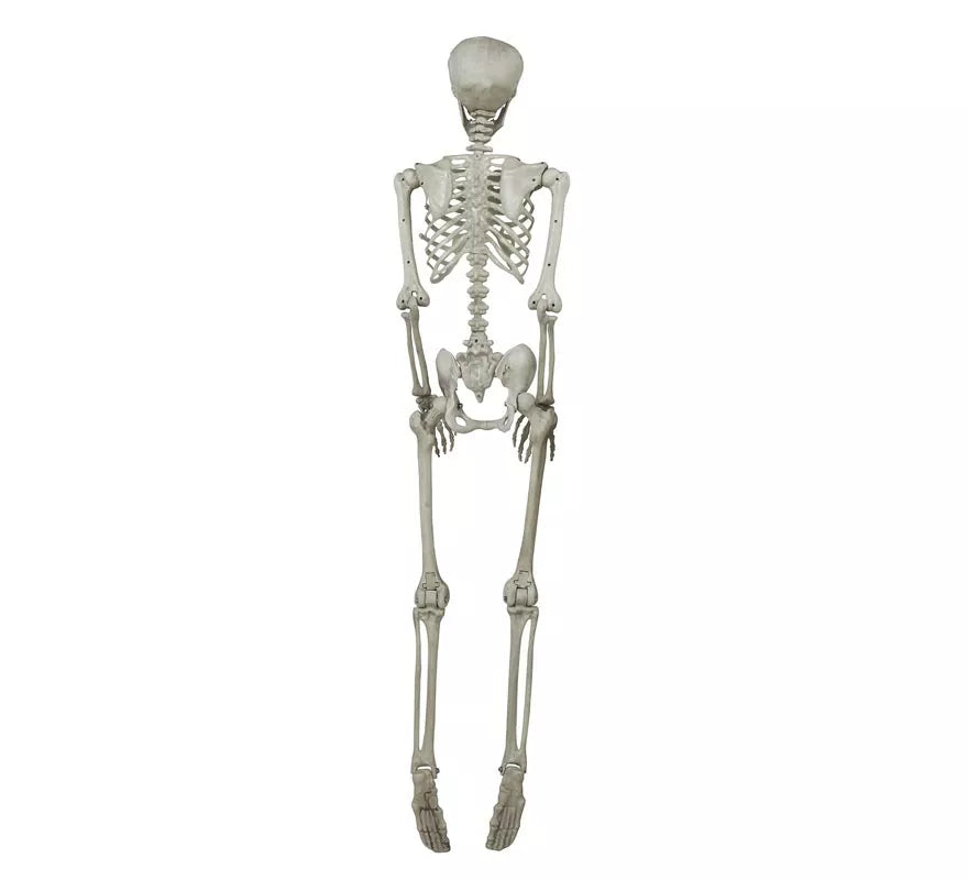 Colgante Esqueleto 160 Cm