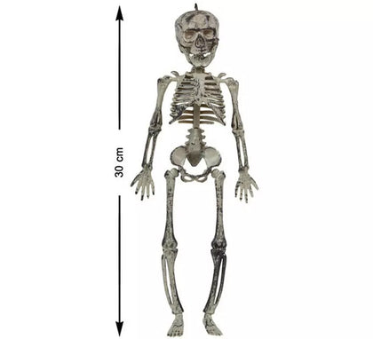 Esqueleto de 30 cm